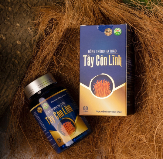 Tây Côn Lĩnh 
